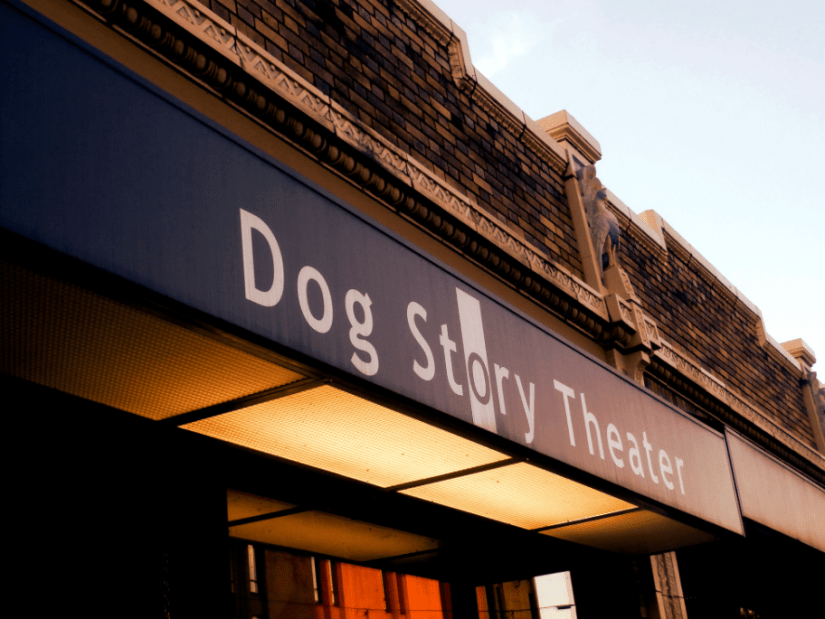 dog-story-awning